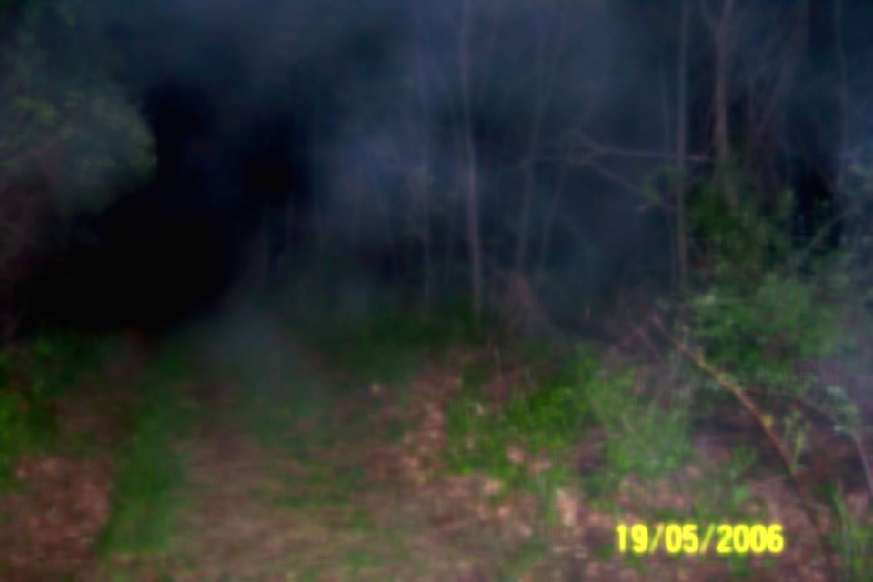 17264548_131339700727072_4103986305796652877_n