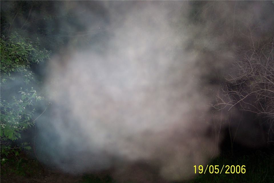 17308786_131339204060455_9195537560292599496_n