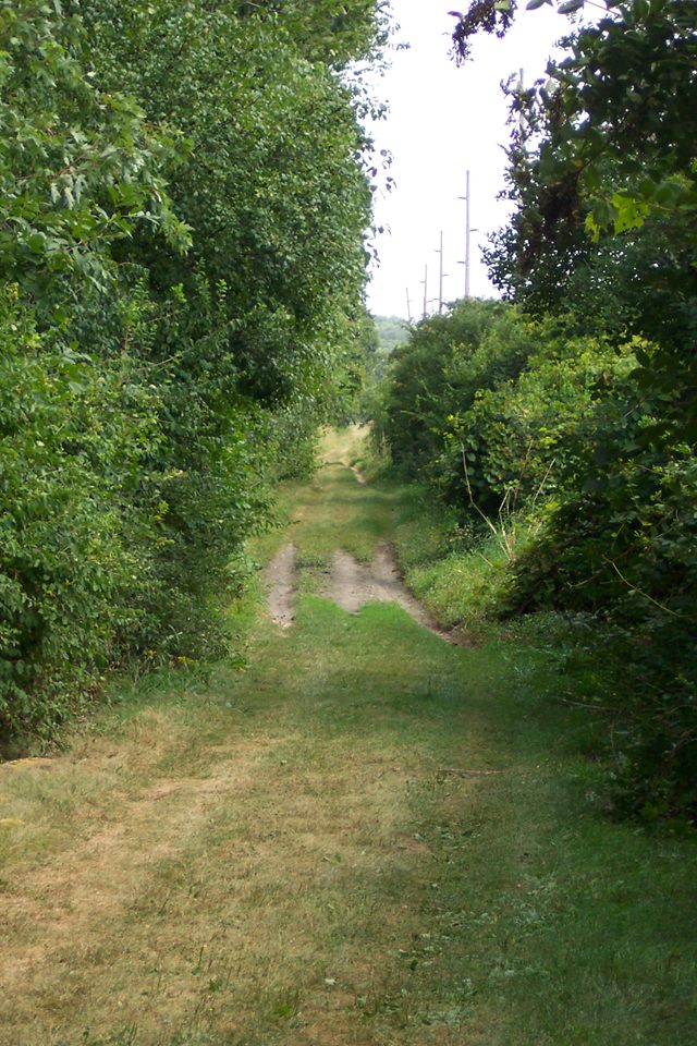 17309714_131339137393795_3180546663326821069_n