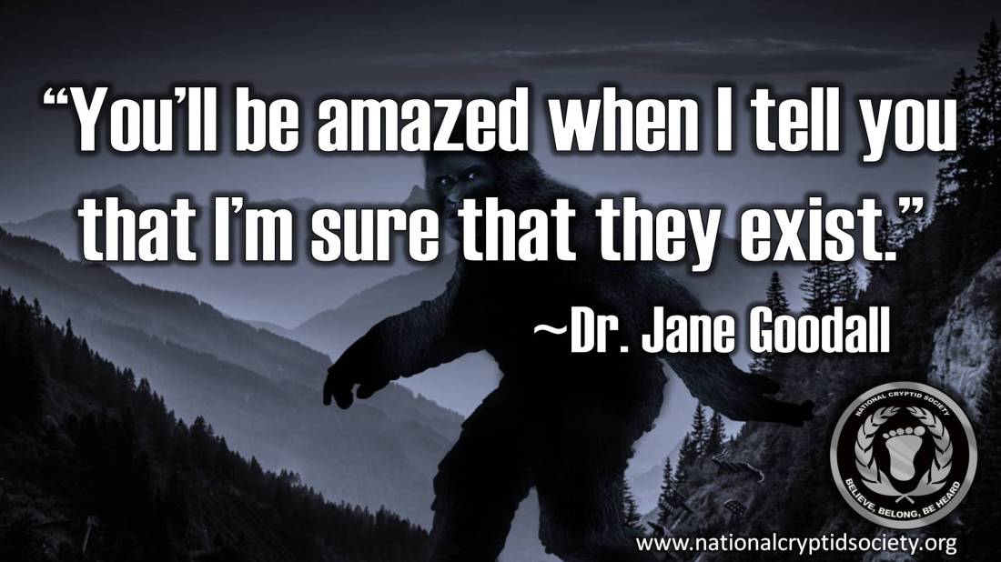 Jane Goodall Quotes