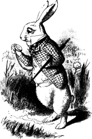 alice-1297677_960_720