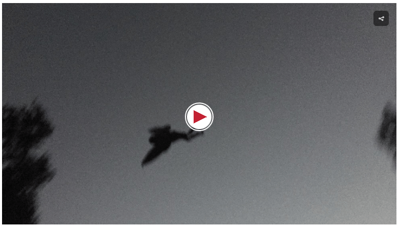 capture-20171116-201053