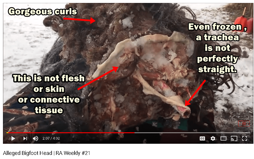 capture-20171230-122709