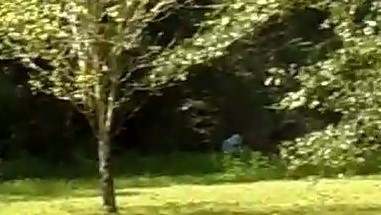 27657681_186226998644036_7608157351636616552_n