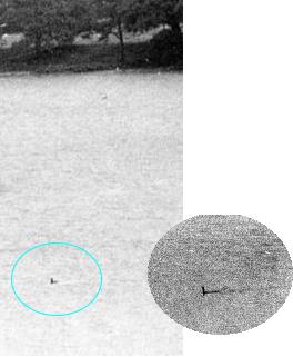 the2bbeast2bof2bconsiton