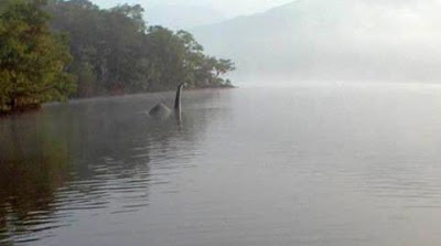 web2b-2bbownessie-gallery2bautographer2bphoto