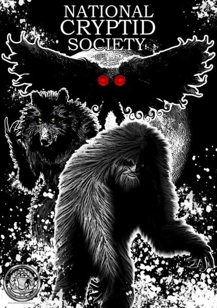 50679364_794650104214416_5958125662626643968_n