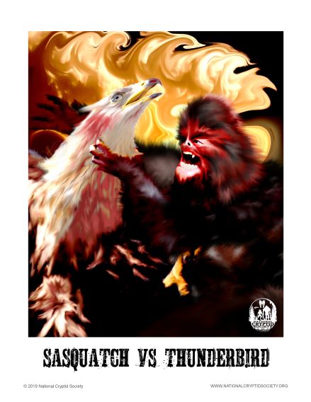 Sasquatch Vs Thunderbird art