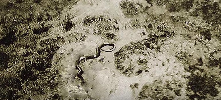 main-qimg-e8a9f19898dd1f912c977a89f1652e91