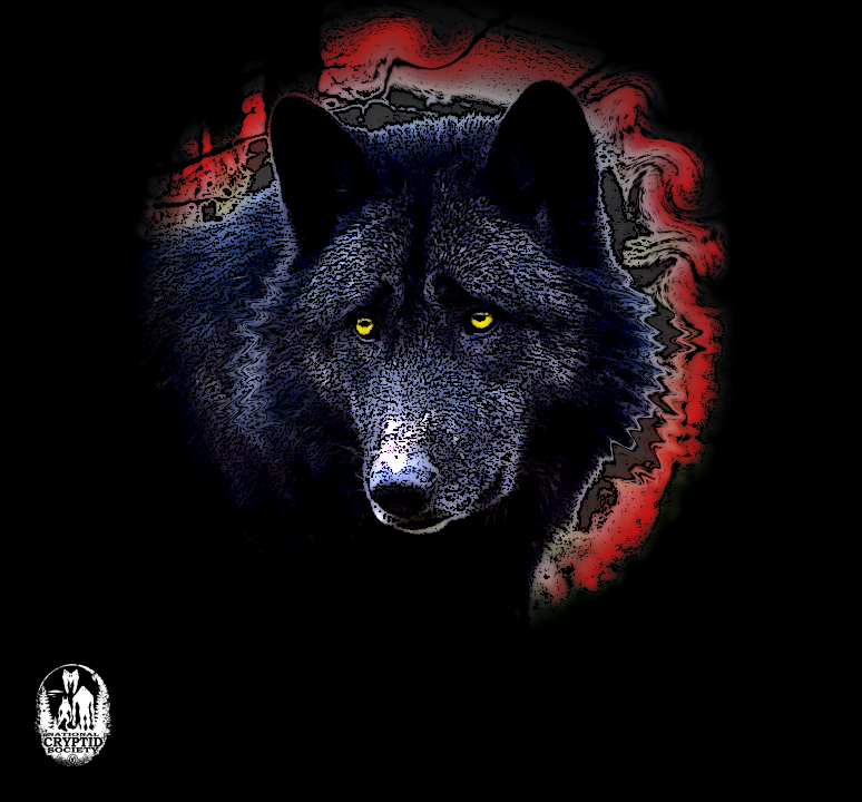 mammal-3249988_960_720